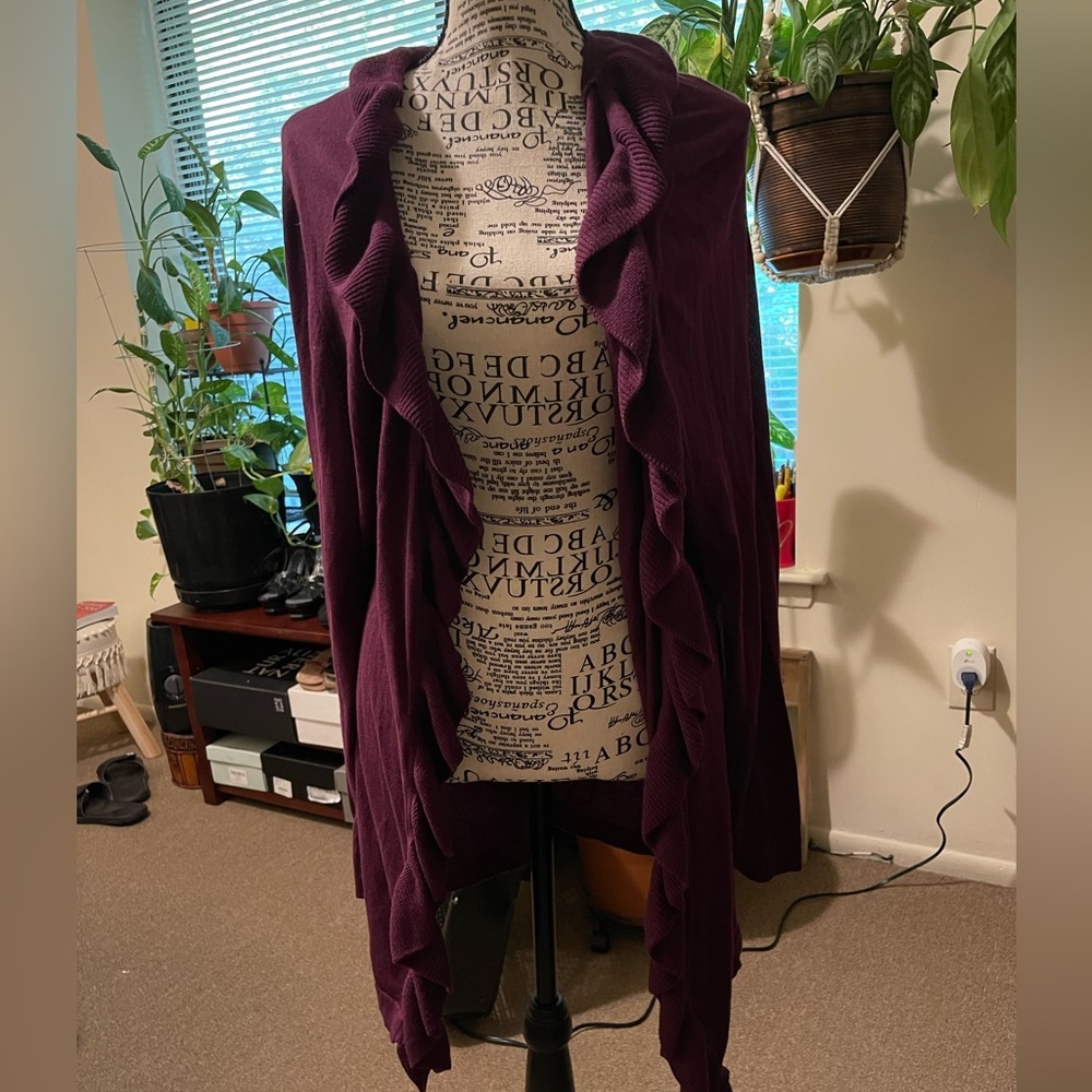Women’s Lane Bryant Sweater